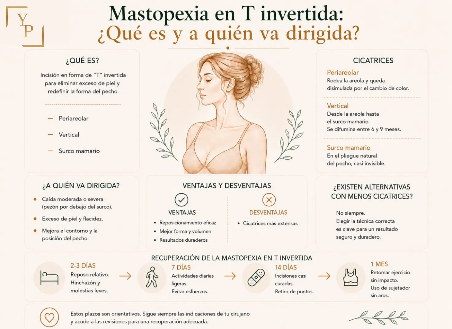 Mastopexia en T invertida
