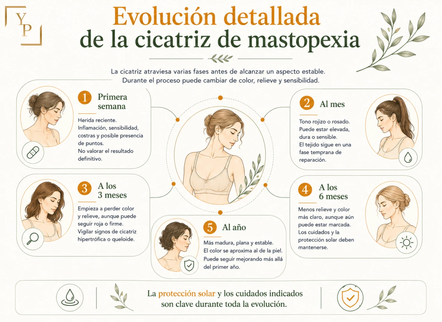 Cicatrices de Mastopexia: evolución, tipos y cuidados 6 infografia evolucion cicatriz