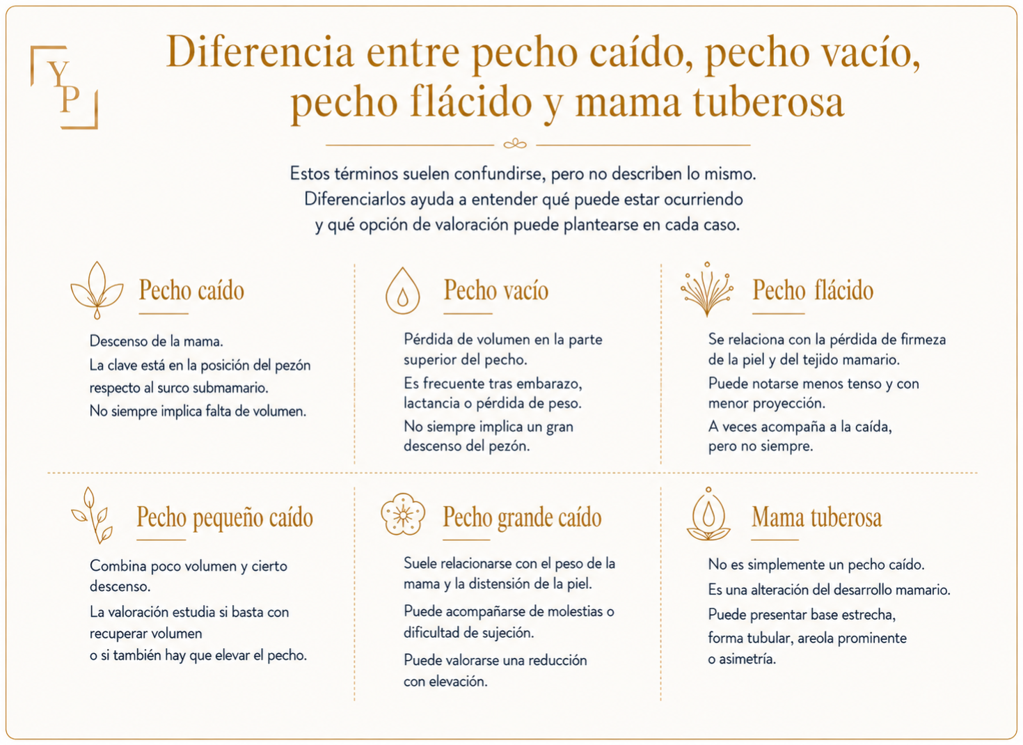 infografia comparativa tipos de pecho